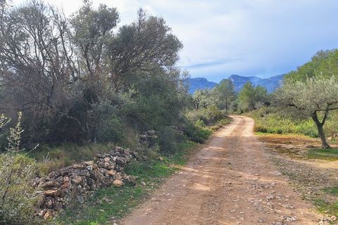 Terreno en Ginestar, Tarragona, Ginestar - € 21.000 | Ref: CC736 - photo 5